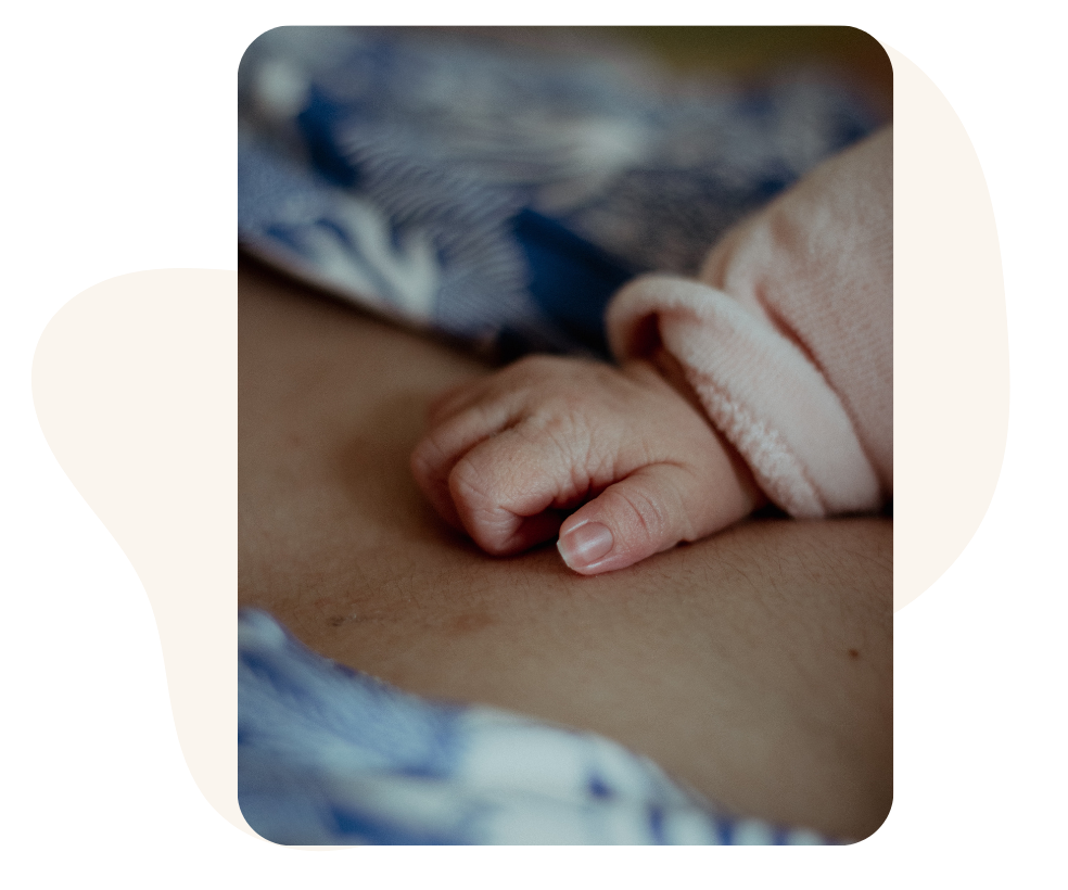 Bild für Datenbank