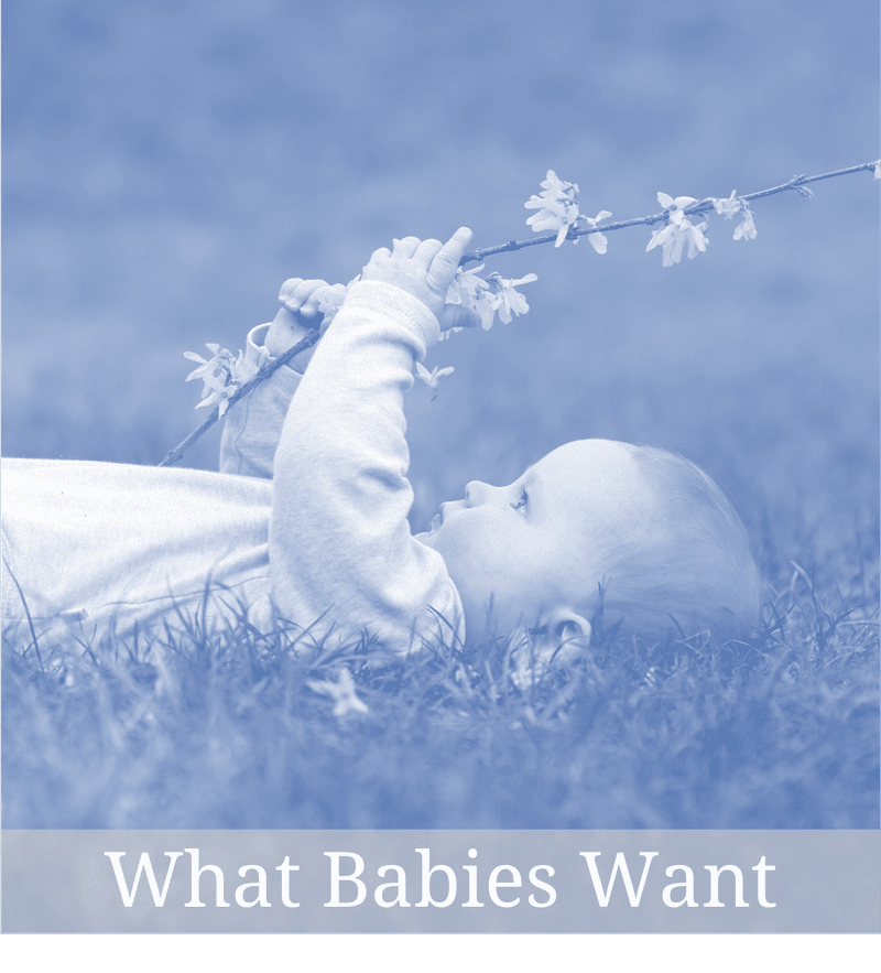 whatbabieswant.png
